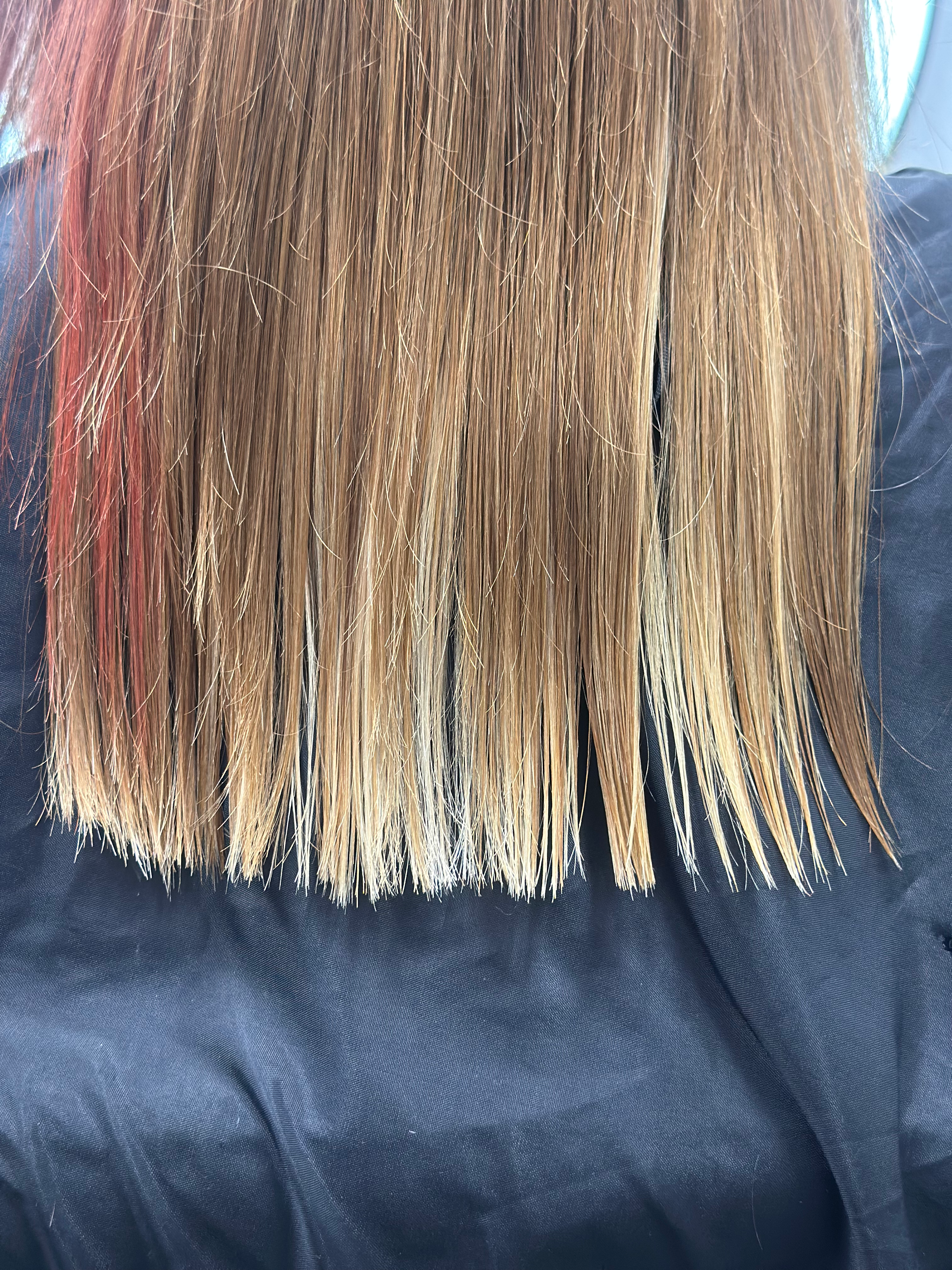 Client with salt-and-pepper beard and modern cut